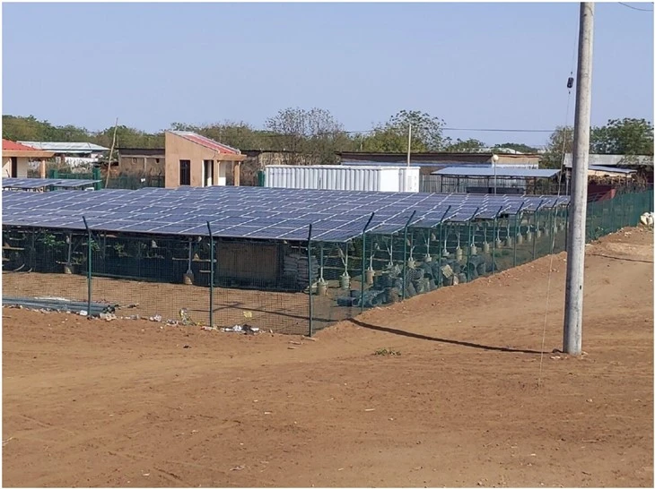 Agri Photovoltaic